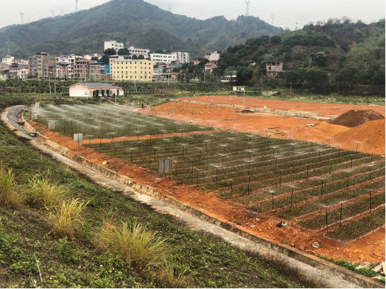 1-20号地块喷淋工程